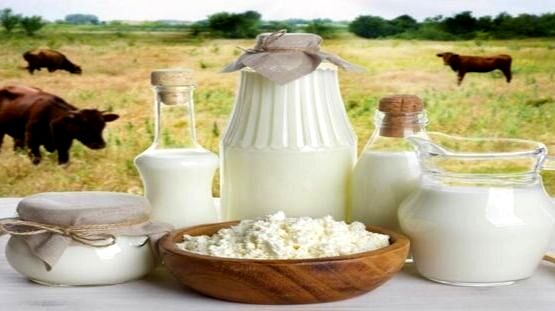 شبکه‌های اجتماعی دلال‌ها را از بازار سنتی محصولات دامی البرز حذف می‌کنند