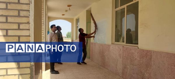  طرح «شهید عجمیان» برای رنگ‌آمیزی و شاداب‌سازی مدارس فین