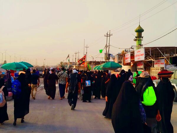 میلیون‌ها گام عاشقی؛ روایت حماسه اربعین حسینی از نجف تا کربلا