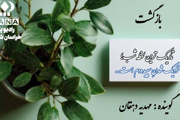 دوباره از نو: هنر برخاستن از میانِ خاکسترِ شکست‌ها