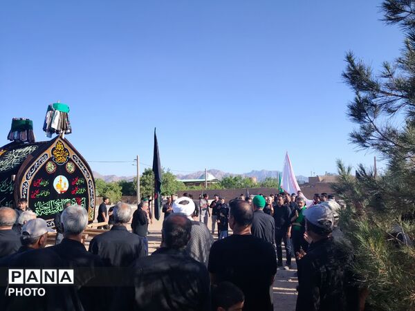 نخل‌برداری روز عاشورا در روستای صالح آباد شهرستان تفت
