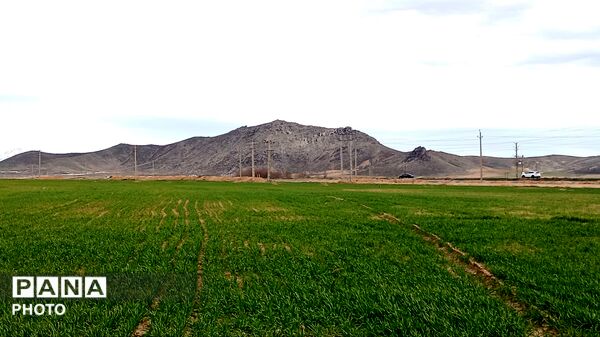 دیوزند؛ تابلوی زنده بهار در کردستان