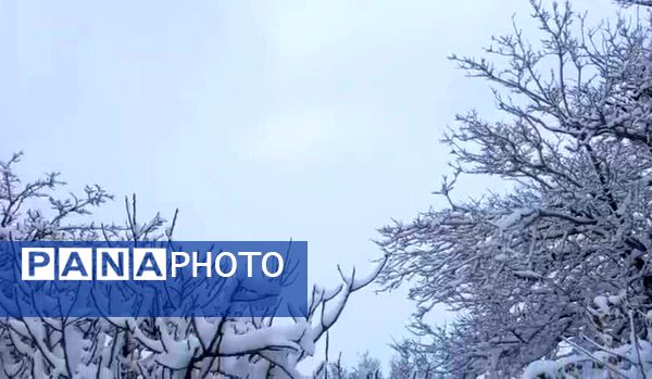 سپیدی رحمت بر جرقویه علیا