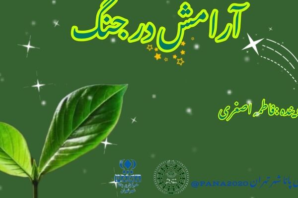 آرامش در جنگ