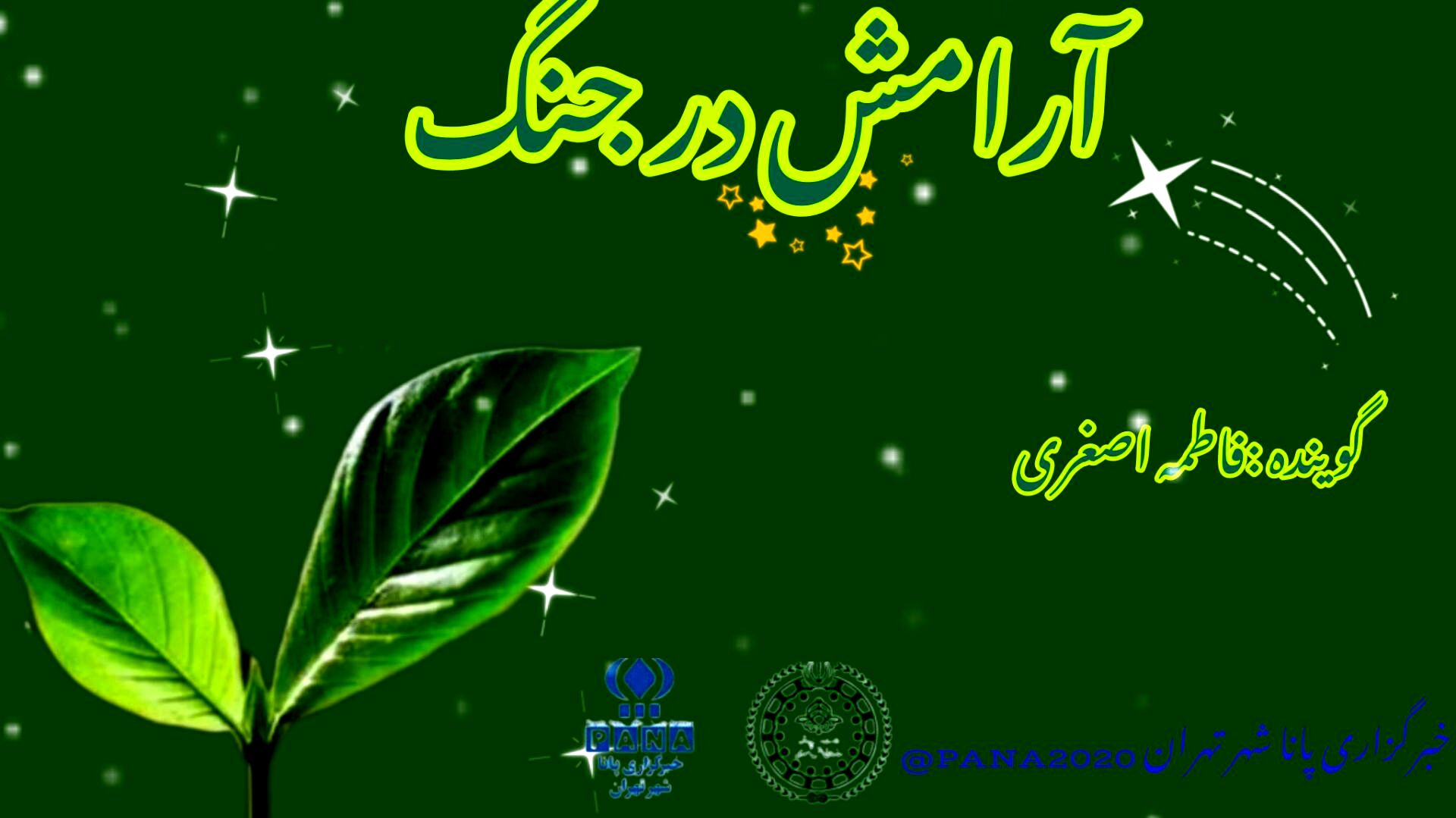 آرامش در جنگ