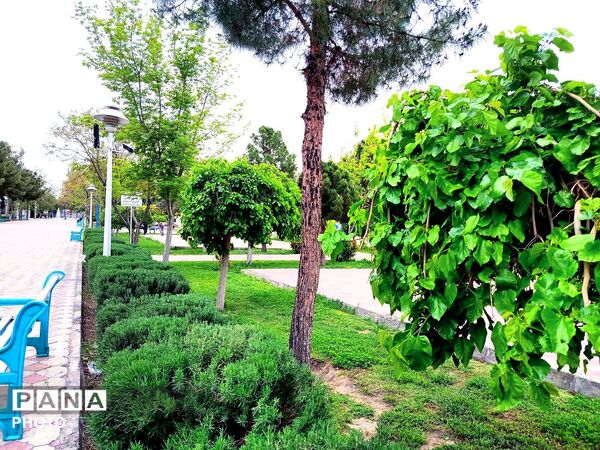 بهار مهمان امامزاده سید حمزه