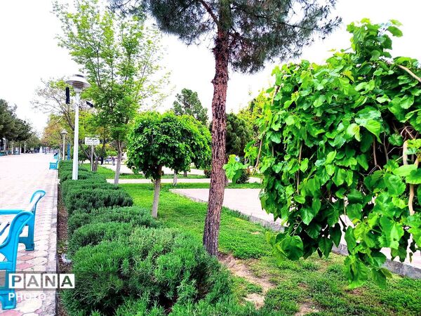 بهار مهمان امامزاده سید حمزه