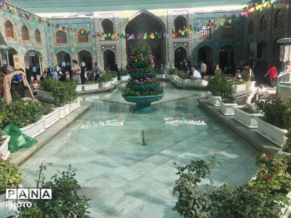 عطر میلاد در بارگاه سیدالکریم (ع)
