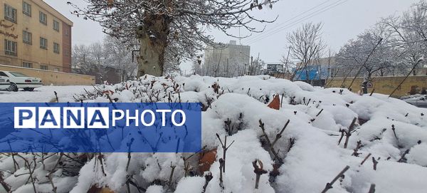 شهر نیشابور سفید پوش شد 