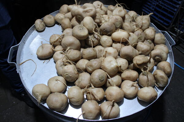 دهه فاطمیه در چهار باغ اصفهان