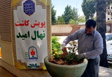 پویش کاشت نهال امید در آموزش و پرورش ایلام 