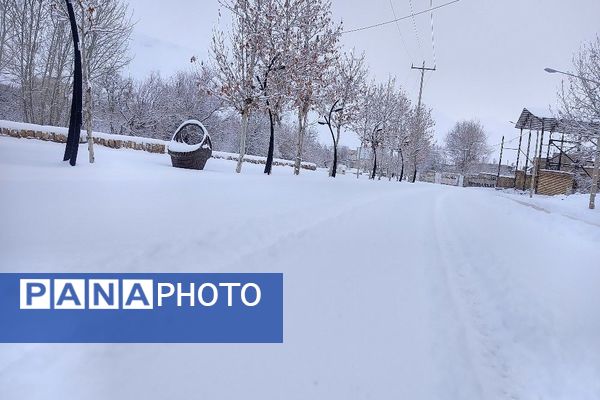برف بارید و خدا پاکی خود را به شهر زیبایی بار هدیه کرد