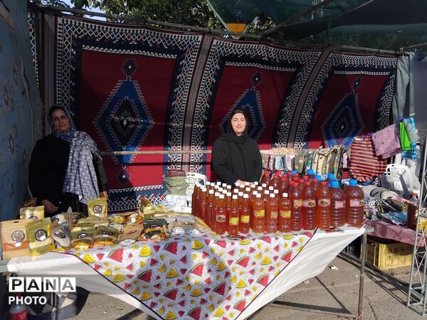 اولین جشنواره سیب در شیروان