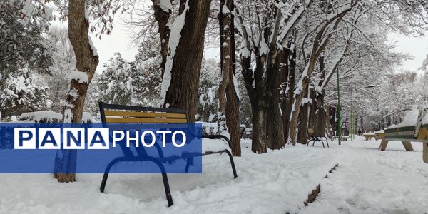 سکوت برفی بروجن، قلب شهر را به تپش انداخت