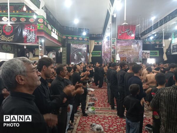 سینه زنی و عزاداری شام غریبان در حسینیه‌های روستای فدافن