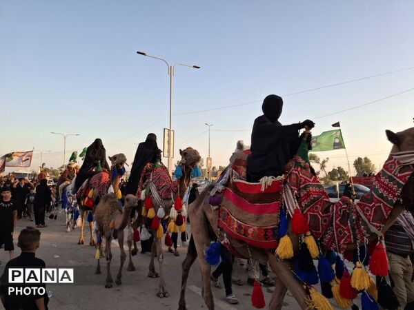 از موکب های بر مدار ایثار تا کاروان های لبریز از شور؛ روایتی از میزبانی خدام عراقی در اربعین حسینی