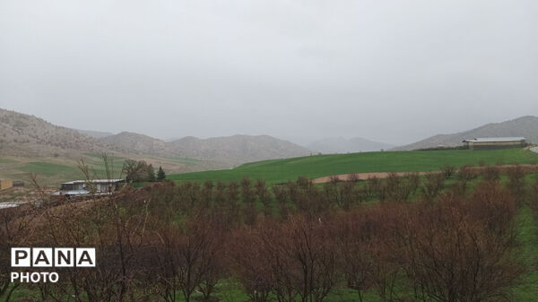 نگین سبز زاگرس 