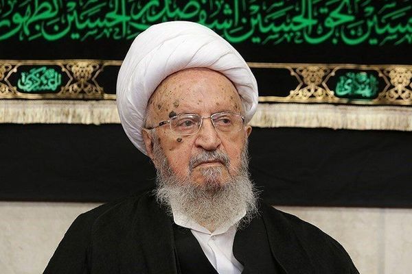 آیت‌الله مکارم شیرازی: مسلمانان و آزادگان در سراسر دنیا بر حمایت از رهبر انقلاب تاکید کنند