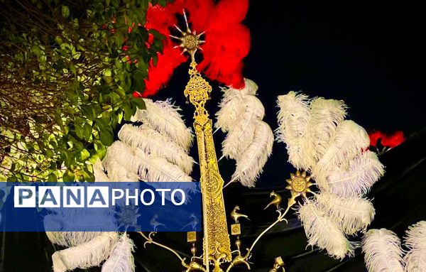 مراسم شب شهادت امام رئوف در مشهد مقدس 