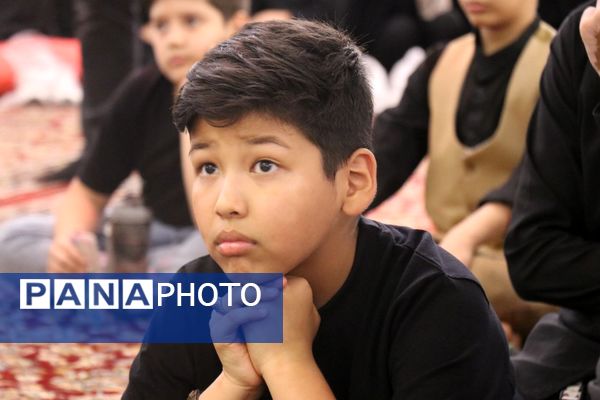 هیئت قاسم ابن‌الحسن در حرم مطهر رضوی