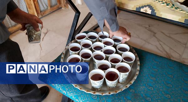 دومین مرحله اردوی تمشک در خواف