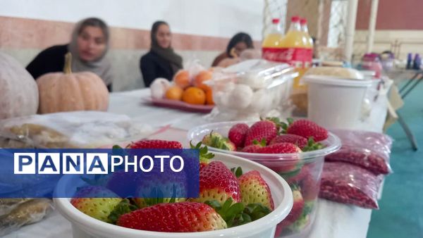 بهنمیر به استقبال بهار رفت