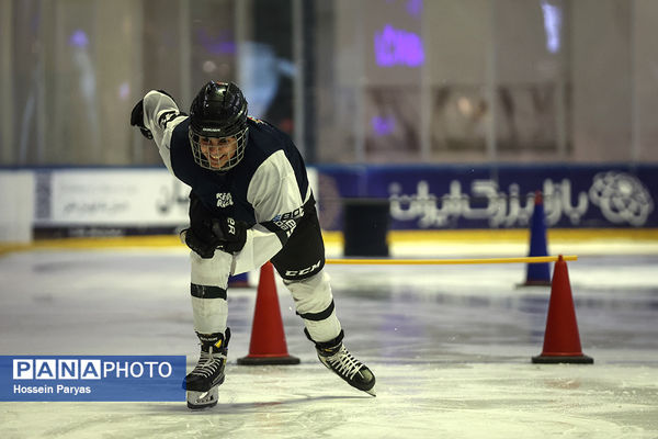 مسابقات اسکیت روی یخ