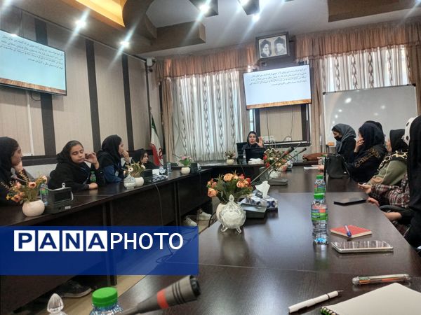 توانمندسازی همیار مشاوران مدارس ناحیه ۳ شیراز