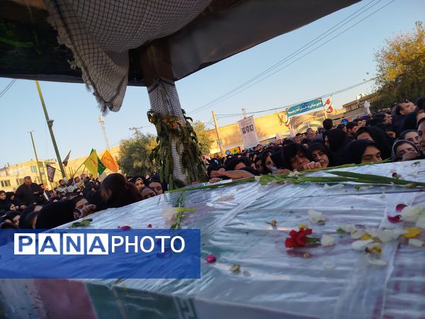 لاله‌های سرخ فاطمی به پلدختر رسیدند 