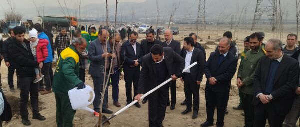 برگزاری مراسم روز درختکاری در شهرک وحدت شهرستان فردیس 