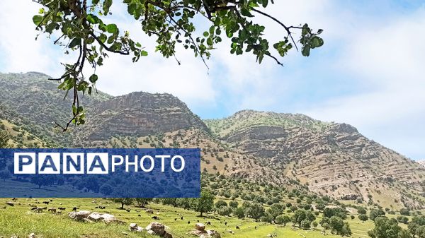 مسیر قارون تا قلعه مدرسه در واپسین لحظه‌های بهار