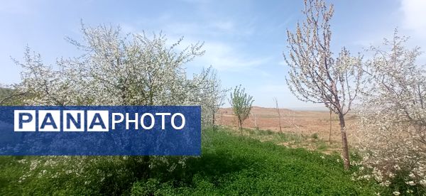 طبیعت بی نظیر روستا سربالا بهترین گزینه برای طبیعتگردی در فصل بهار