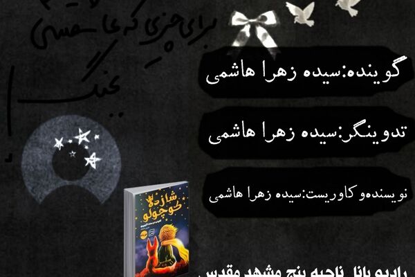مثل شازده کوچولو 