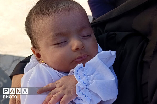 گهواره‌های سبز در سوگ کربلا؛ همایش شیرخوارگان حسینی در بجنورد/2 