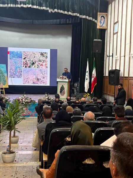 برگزاری نخستین همایش ملی سرو ابرکوه 