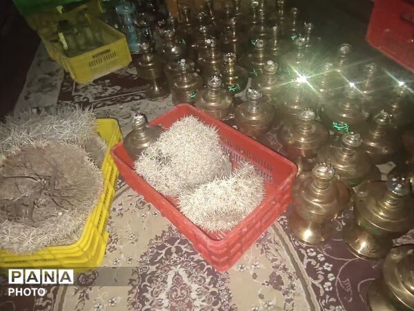 عظیم‌ترین سفره شهر اصفهان در شام شهادت حضرت رقیه(س)