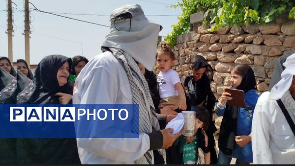 کاروان پیاده انصارالحسین به منطقه خانمیرزا رسید 