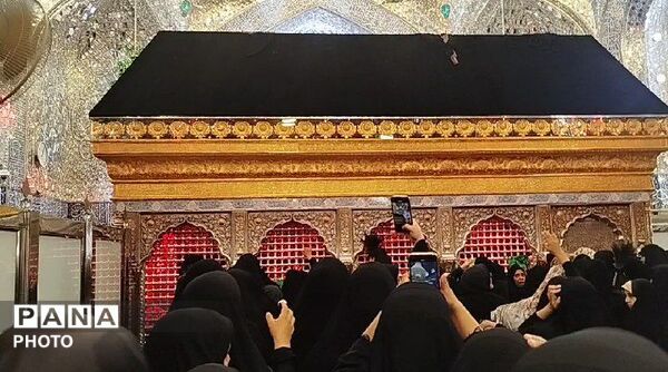 از نجف تا کربلا؛ روایت شهری که عشق را معنا می‌کند