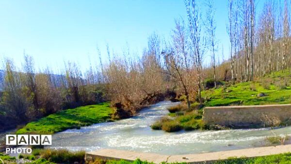 طبیعت دَستَنا؛ جلوه‌ای کم‌نظیر از آرامش و زیبایی در دل چهارمحال و بختیاری