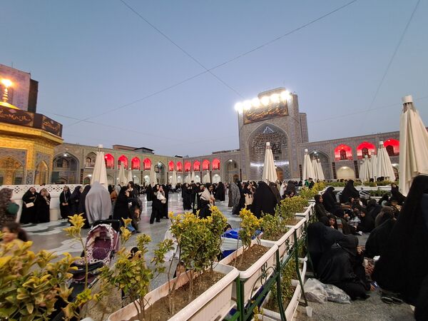 کبوتر حرم مشهد مقدس