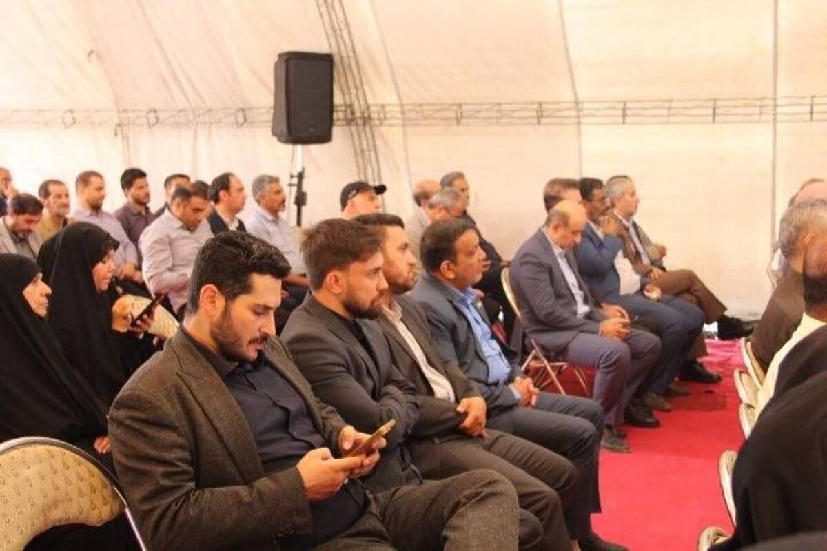 کاشت نهال زیتون در بام قیامدشت