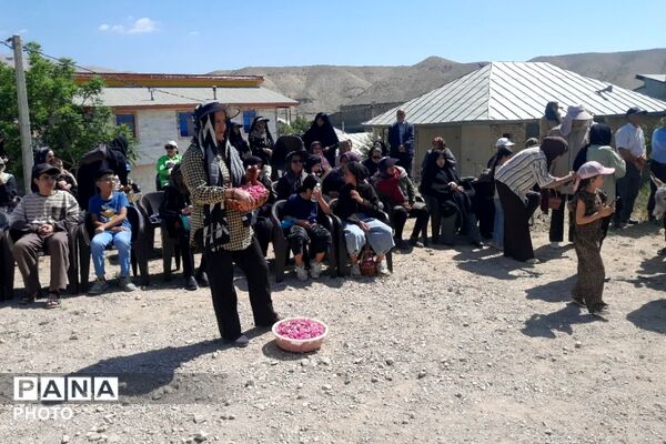 مراسم گلابگیری در روستای طارس شهرستان فیروزکوه