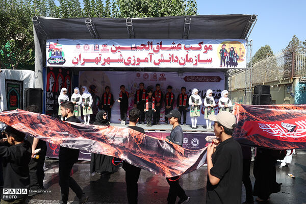 پیاده‌روی جاماندگان اربعین در تهران - 3