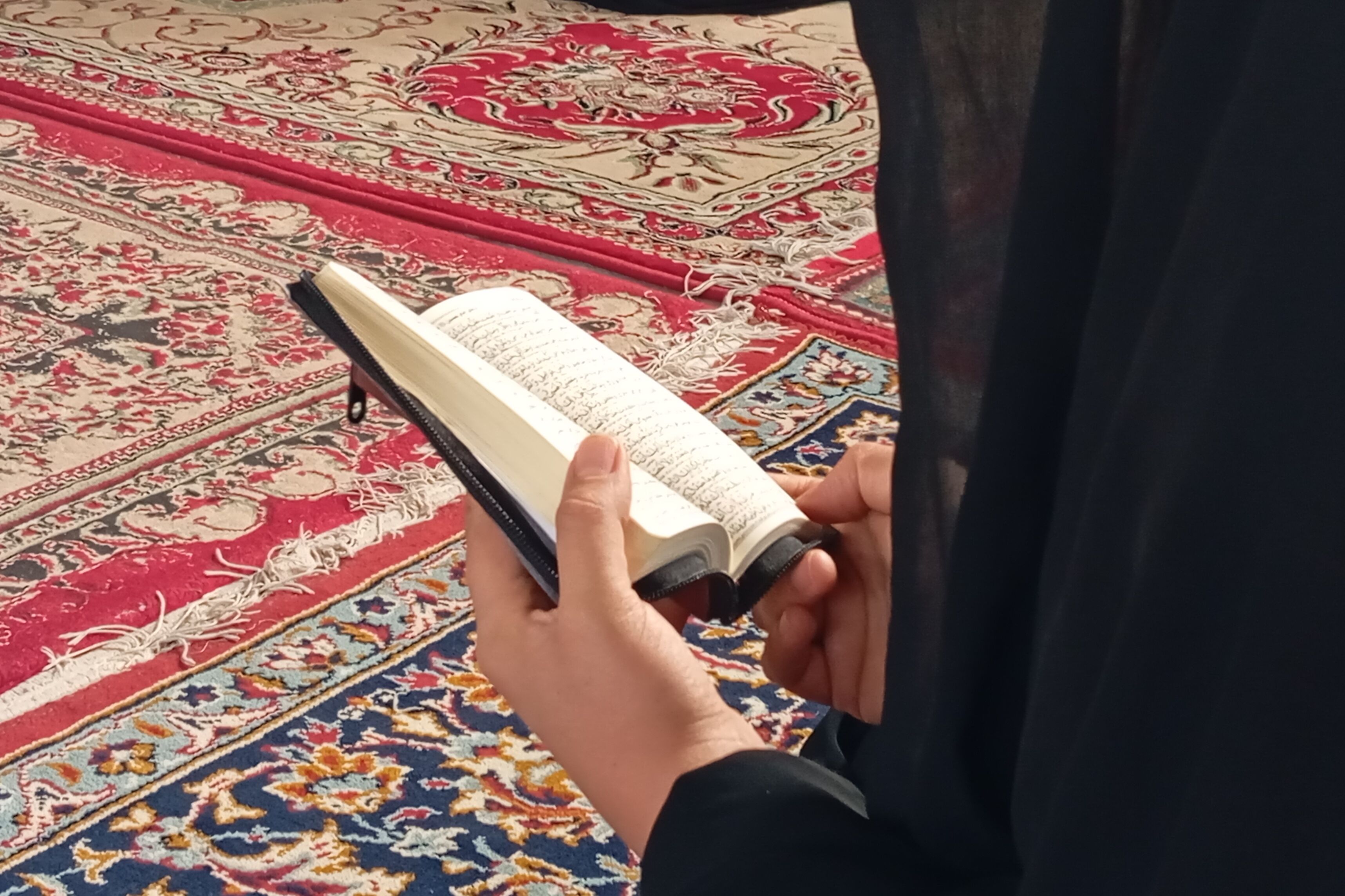 طنینِ دعای عرفه در آستانِ دوست