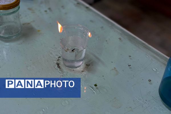 گامی در مسیر کشف حقیقت